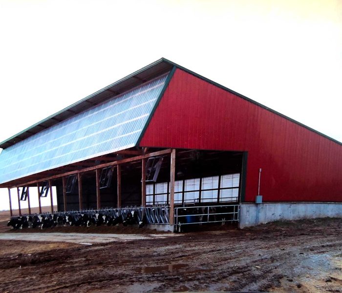Farm-IMG-4156